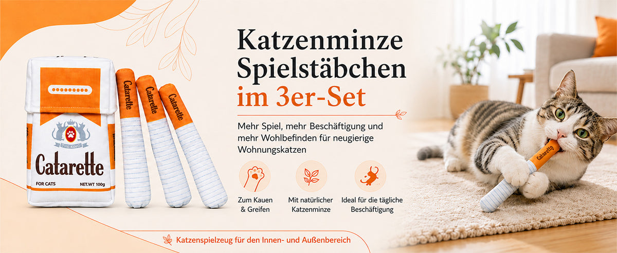slider image slider_item_cdctQN