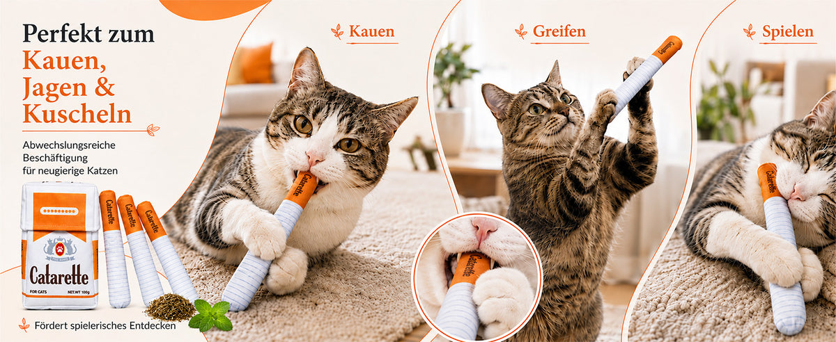 slider image slider_item_XNh9cN
