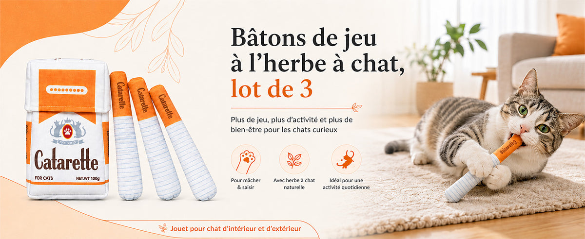 slider image slider_item_cdctQN