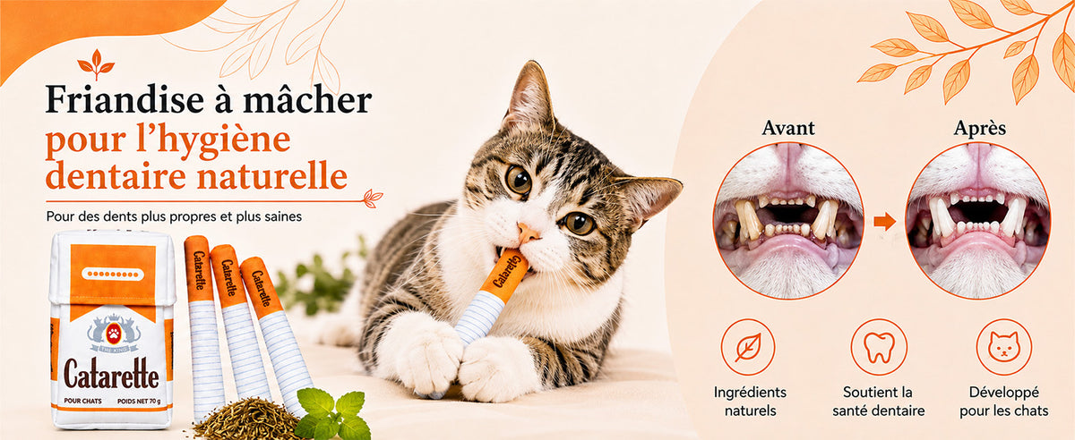 slider image slider_item_MpKnxp
