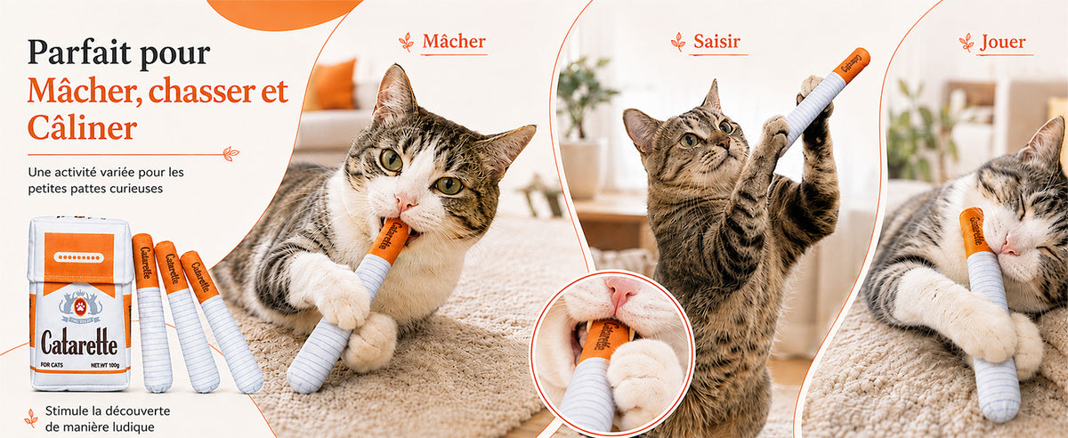 slider image slider_item_XNh9cN