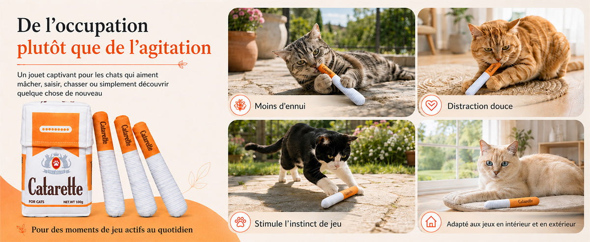 slider image slider_item_cgVyY4