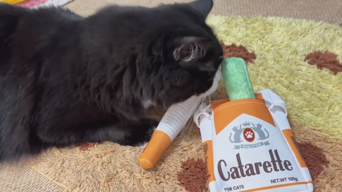 Catarette cat toy cigarette, catnip toy for indoor